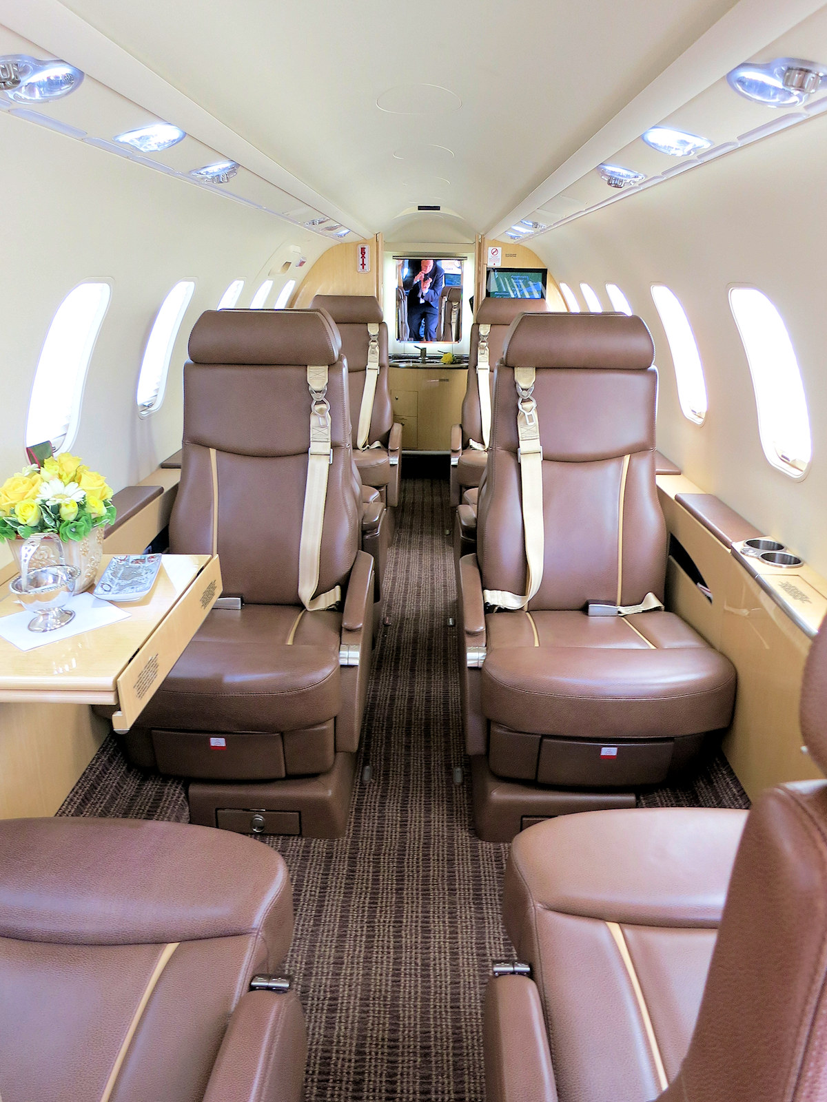 Learjet 75 Brown Leather Interior