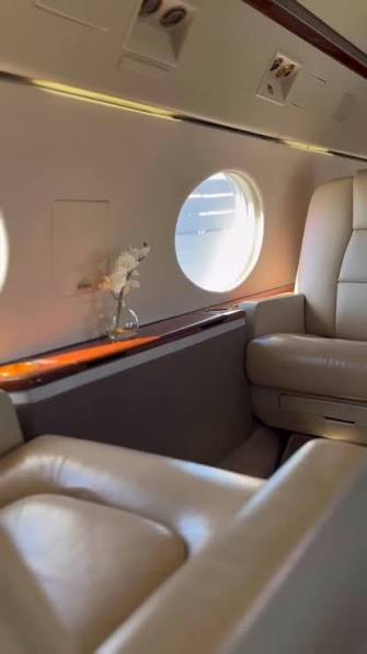 Aircraft detailing work for Sarah Chen